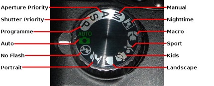 Picture1